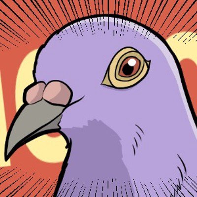 user icon