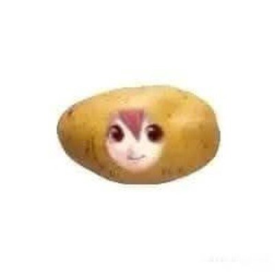 user icon
