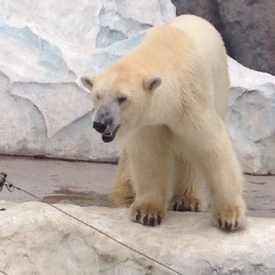 ユーザーアイコン