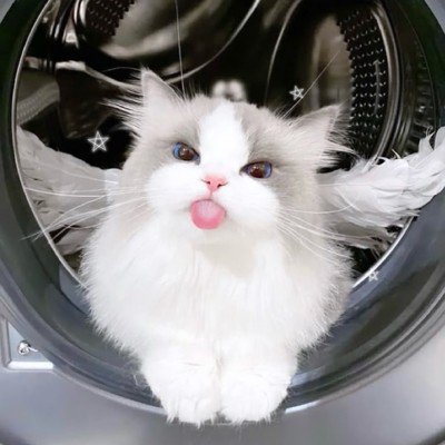 ユーザーアイコン