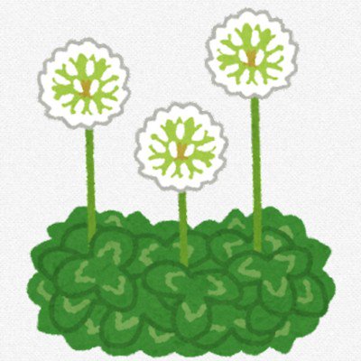 user icon