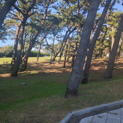 ユーザーアイコン