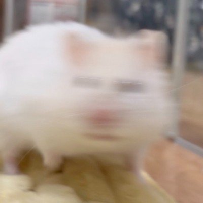 user icon
