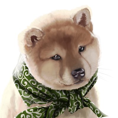 user icon