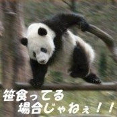 ユーザーアイコン