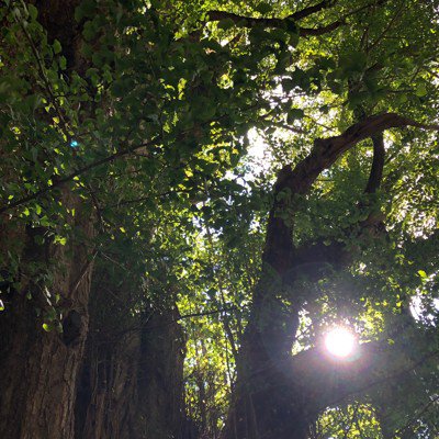 ユーザーアイコン