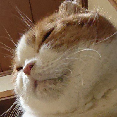 user icon