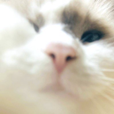 ユーザーアイコン