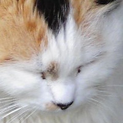 ユーザーアイコン