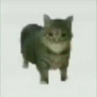 user icon