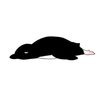 user icon