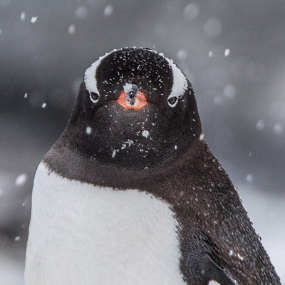 ユーザーアイコン