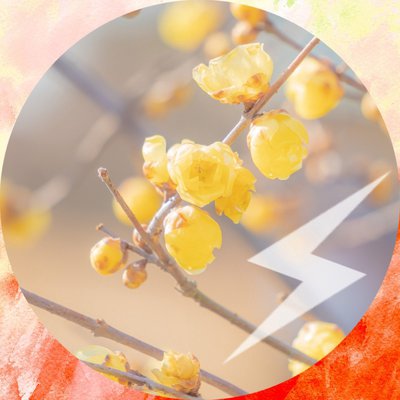 user icon
