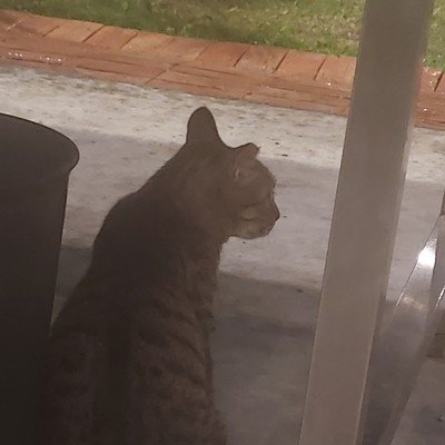 ユーザーアイコン