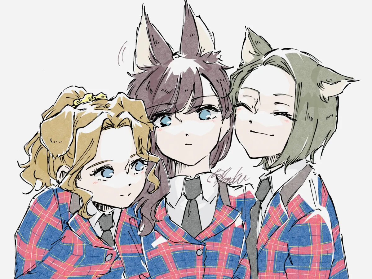添付画像