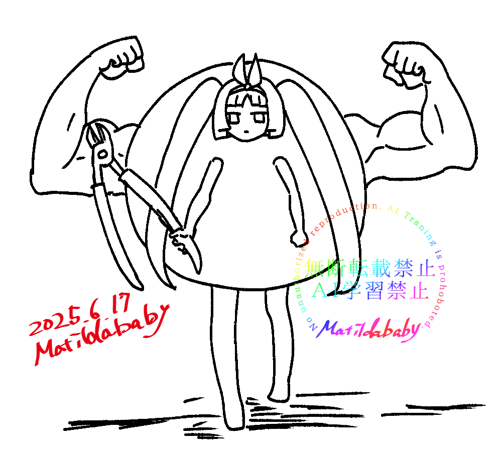 添付画像